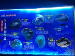 -福州罗源湾海洋世界旅游区