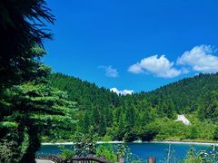 -武陵山森林公园