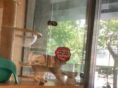 -PETKIT 小佩宠物·低压洗护·美容·寄养(安远店)