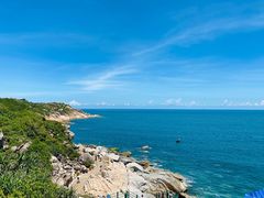 -广东惠东海龟国家级自然保护区