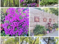 -苏州公园(双塔街道)