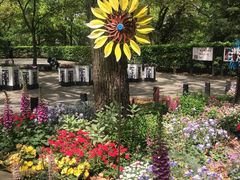 -上海共青森林公园