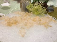 -东国海鲜火锅城(氹仔店)