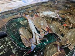 -好兄弟郭巨海鲜(天一阁店)