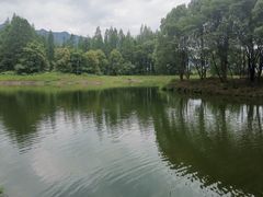 -瑶琳仙境