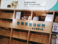 -瑞派长江宠物医院·猫科·外科·24小时夜护(谊城公寓分院)