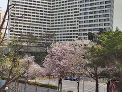 -广州花园酒店