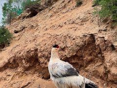 -青藏高原野生动物园