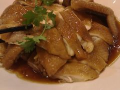 -新世纪大酒楼·30年南海菜