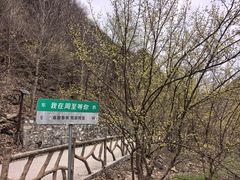 -黑河国家森林公园