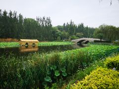 -白洋淀景区