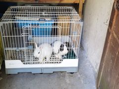 -冰厂田幼儿园(世纪部)