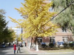 -辽宁大学(崇山校区)