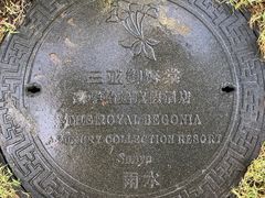 -三亚御海棠豪华精选度假酒店