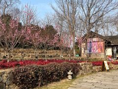 -茅山东方盐湖城景区