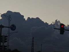 -漩门湾国家湿地公园