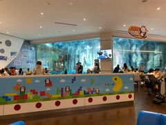 -帝企鹅自助餐厅•儿童岛•真企鹅(长隆企鹅酒店)