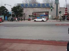 -南宫五洲植物乐园