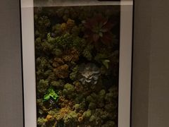 -浅深(世茂滨江精品店)