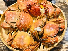 清蒸大闸蟹公-赤甲皇(仙霞路店)