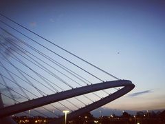 -紫荆广场·花漫里