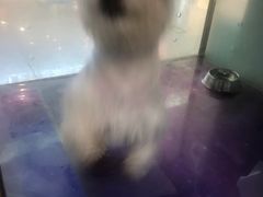 -乐宠宠物店(世纪金源店)