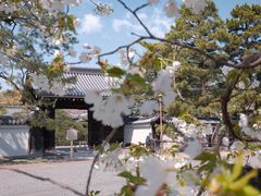 -京都御所