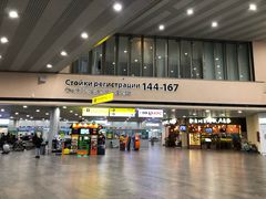 -谢列梅捷沃国际机场