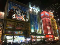 -秋叶原电器街