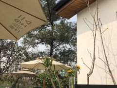 -云里小坐·小院里·团建·宴请·下午茶(三圣乡店)