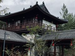 -千年银杏谷文化旅游区