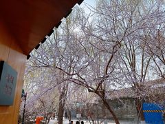 -春风习习