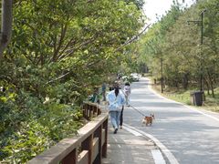 -南京市无想山景区
