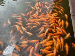 -枫香湖儿童公园