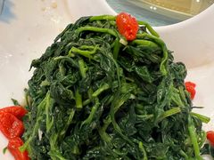 养生枸杞苗-老毛手抓·盐池滩羊非遗手抓(宁夏总店)