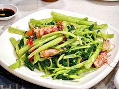 -富来美食