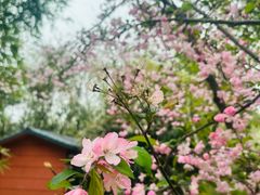 -盘龙城国家考古遗址公园