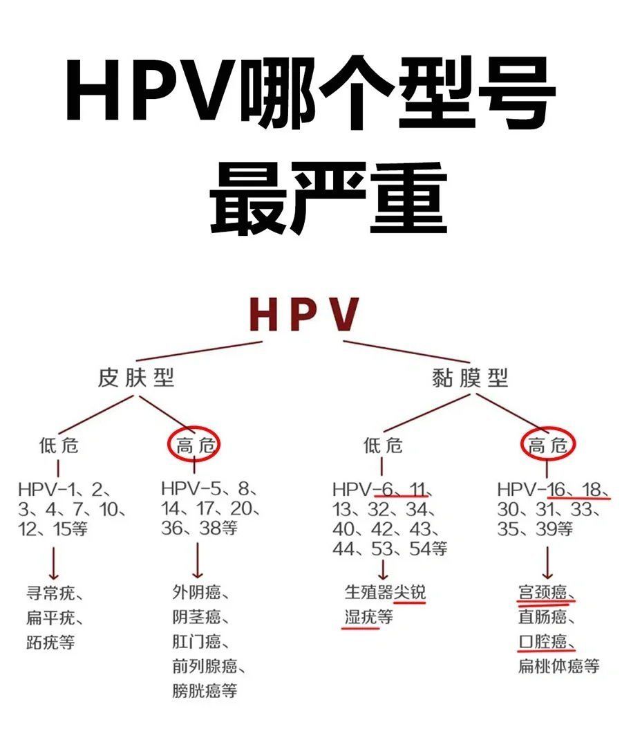  中国有多少女性感染hpv高危病毒的人群(中国有多少女性感染hpv高危病毒的人群呢)