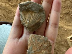 -房山世界地质公园博物馆