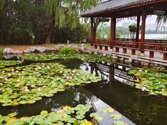 -金银湖国家城市湿地公园