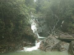 -九龙江国家森林公园