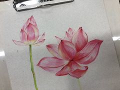 -八哥美术·成人美术画室(总校区)