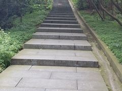 -冶父山国家森林公园