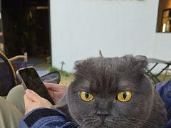 -J Create城市露营咖啡·简餐·宠物(上海动物园店)