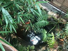 -聚缘堂·海鲜私房菜(松岭路店)