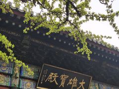 -红螺寺