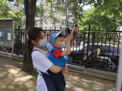 -菲诺·爱弥儿托育中心(陶然亭园区)
