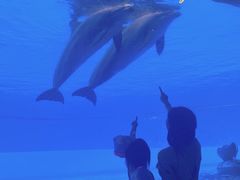 -横琴湾水世界