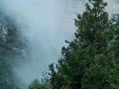 -重庆睡佛山森林公园