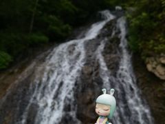 -望天鹅景区
